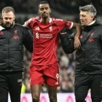 ** الصورة المثالية هي صورة للاعب ألكسندر إيزاك أثناء اللعب، مع إظهار تعرضه للإصابة.