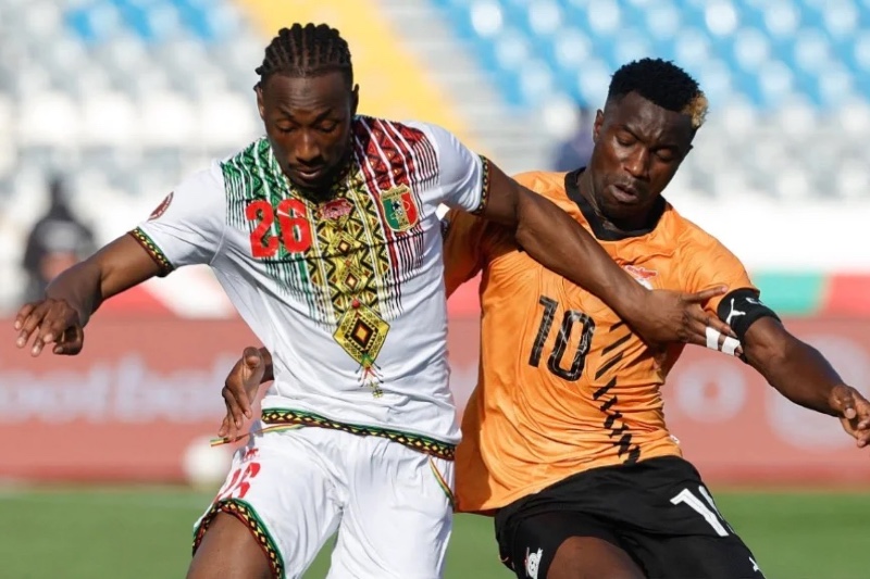 ** صورة للاعبين في المباراة بين منتخب زامبيا ومنتخب مالي.